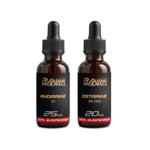 Beginners Recomposition SARM Stack